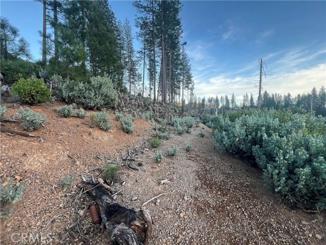 16749 Starview Loop Road, Cobb, CA 95426