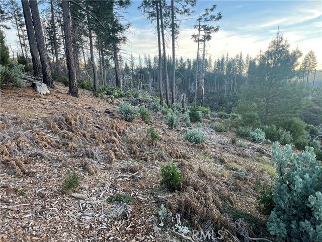 16749 Starview Loop Road, Cobb, CA 95426