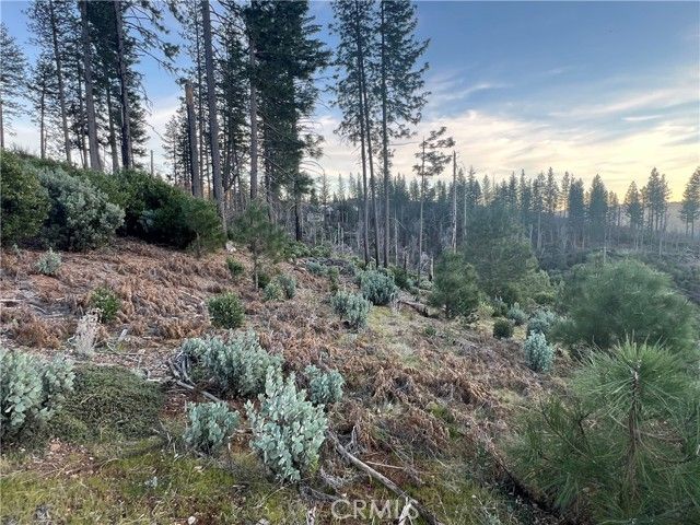 16749 Starview Loop Road, Cobb, CA 95426