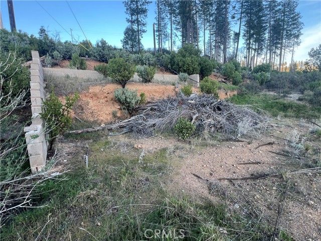 16749 Starview Loop Road, Cobb, CA 95426