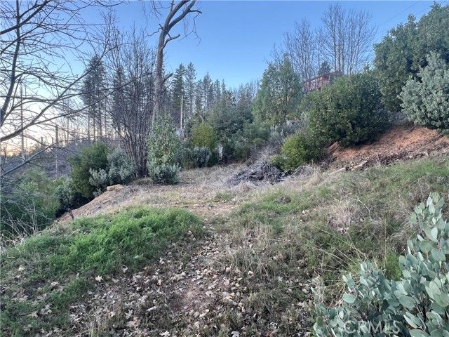 16749 Starview Loop Road, Cobb, CA 95426