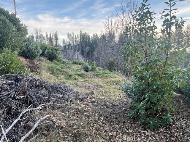 16749 Starview Loop Road, Cobb, CA 95426