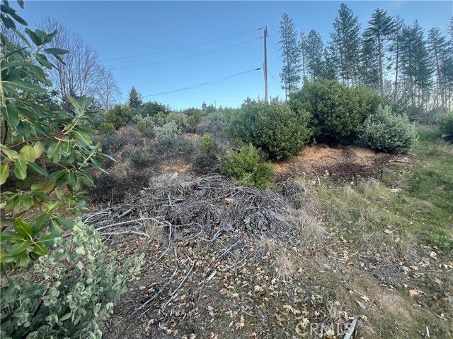 16749 Starview Loop Road, Cobb, CA 95426