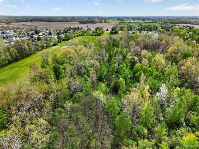 VL Grand Blanc Road, Mundy Township, MI 48473