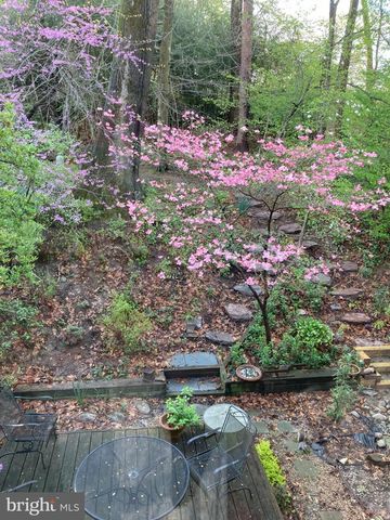 9211 THREE OAKS DR, Silver Spring, MD 20901