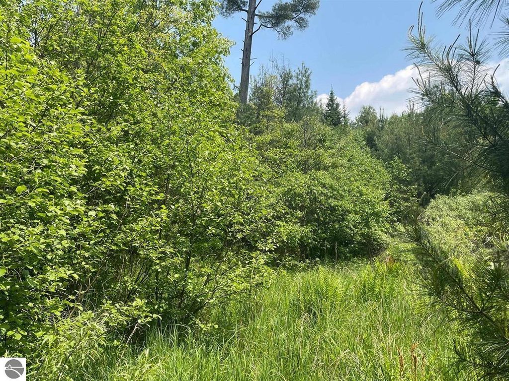 Image 7 of property listing at 2167 Strawberry Avenue, Lake, MI 48632