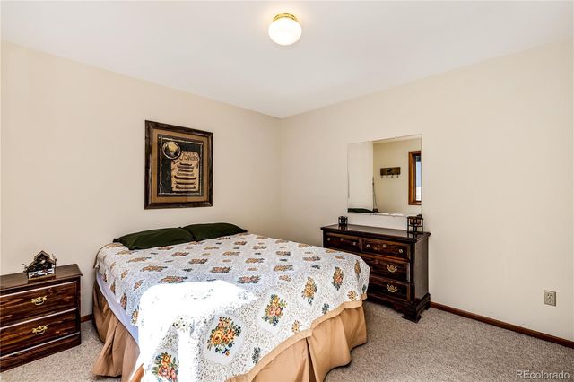 235 Nuthatch Drive, Alma, CO 80420