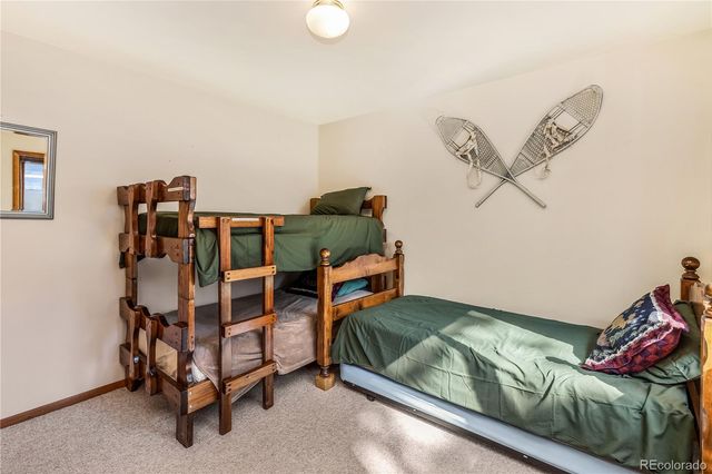 235 Nuthatch Drive, Alma, CO 80420