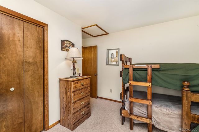 235 Nuthatch Drive, Alma, CO 80420