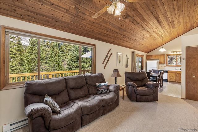 235 Nuthatch Drive, Alma, CO 80420