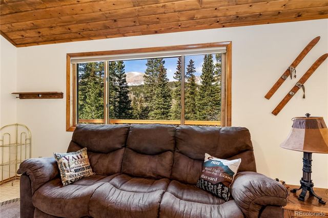 235 Nuthatch Drive, Alma, CO 80420