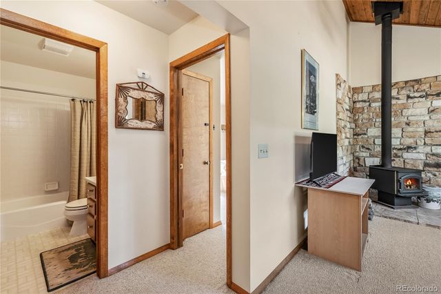 235 Nuthatch Drive, Alma, CO 80420