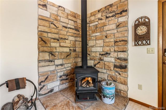 235 Nuthatch Drive, Alma, CO 80420