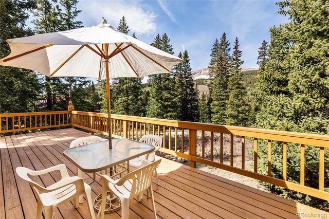 235 Nuthatch Drive, Alma, CO 80420