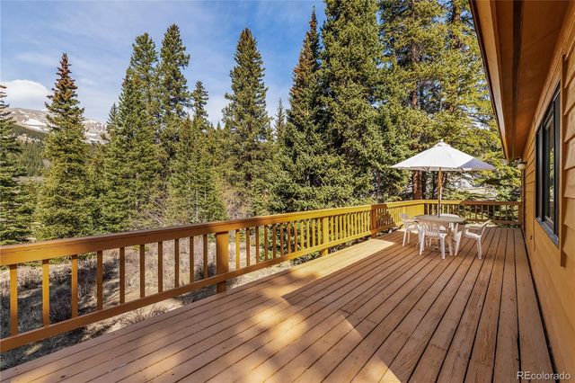 235 Nuthatch Drive, Alma, CO 80420