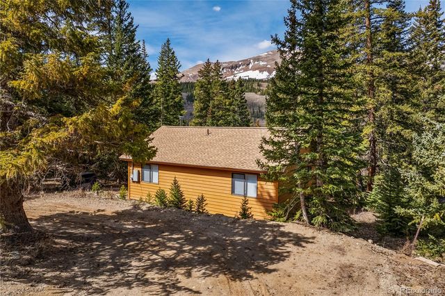 235 Nuthatch Drive, Alma, CO 80420