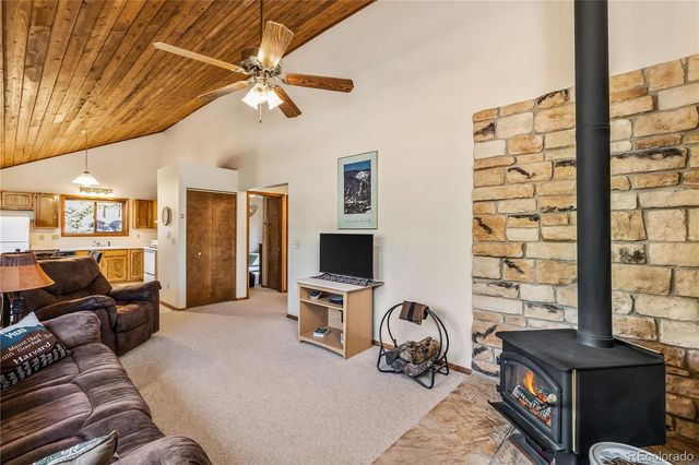 235 Nuthatch Drive, Alma, CO 80420