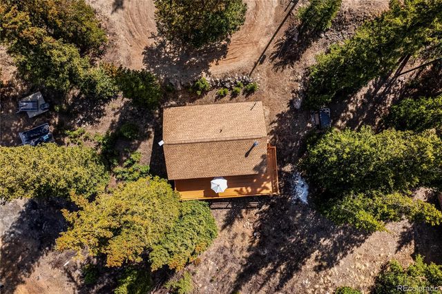 235 Nuthatch Drive, Alma, CO 80420