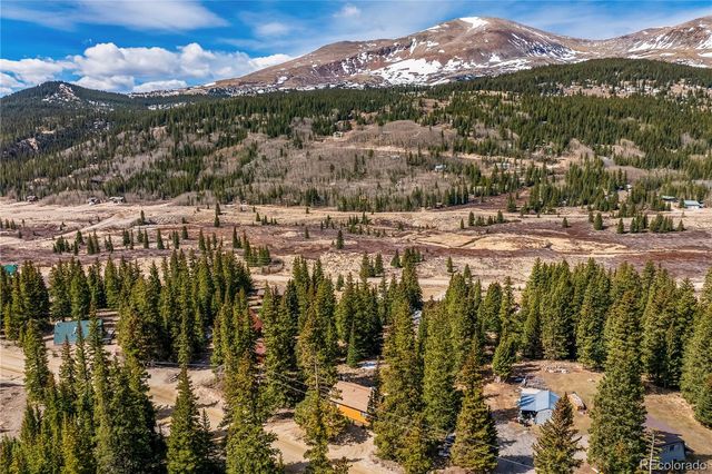 235 Nuthatch Drive, Alma, CO 80420