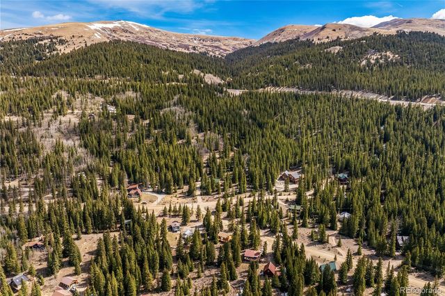 235 Nuthatch Drive, Alma, CO 80420