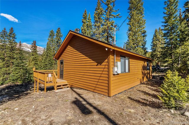 235 Nuthatch Drive, Alma, CO 80420