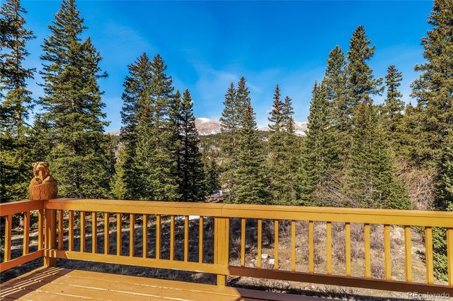 235 Nuthatch Drive, Alma, CO 80420