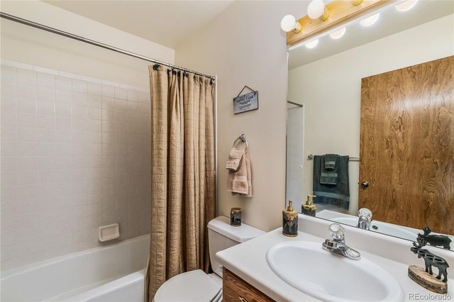 235 Nuthatch Drive, Alma, CO 80420