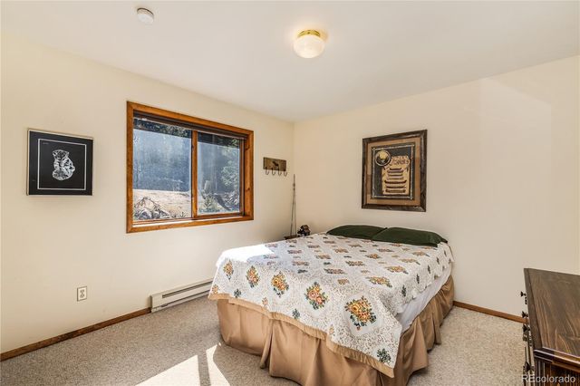 235 Nuthatch Drive, Alma, CO 80420