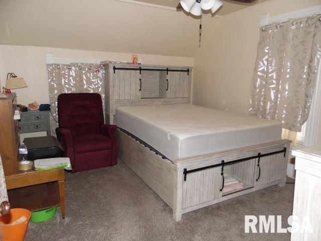 355 W WALNUT Street, Canton, IL 61520