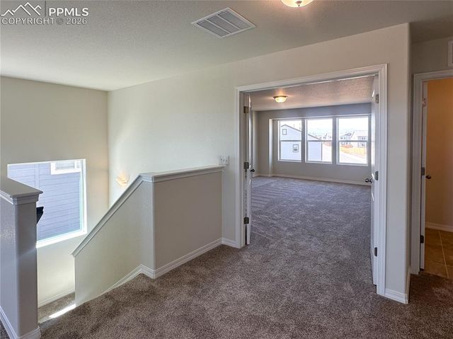 8274 Henzlee Place, Falcon, CO 80831