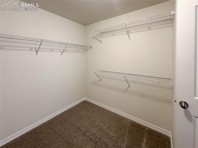 8274 Henzlee Place, Falcon, CO 80831
