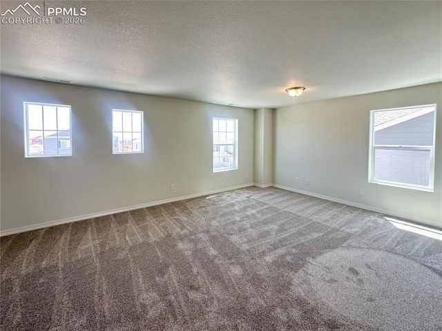 8274 Henzlee Place, Falcon, CO 80831