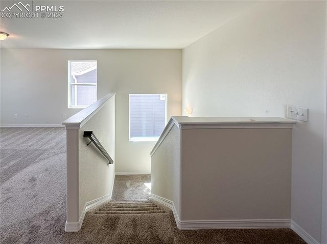 8274 Henzlee Place, Falcon, CO 80831