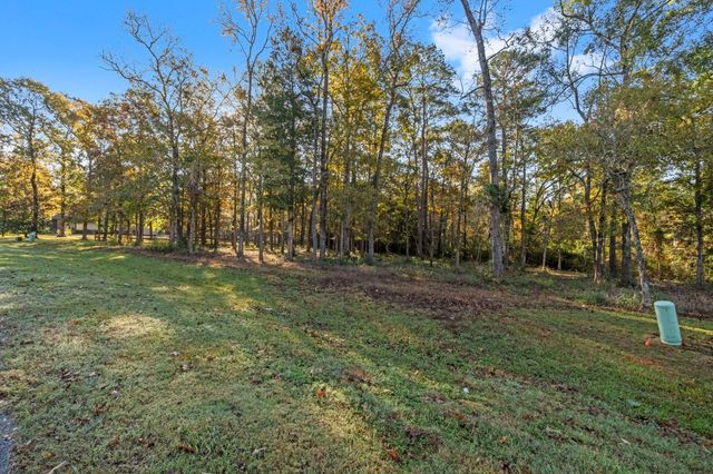 1410 Amber Cove, Willis, TX 77378