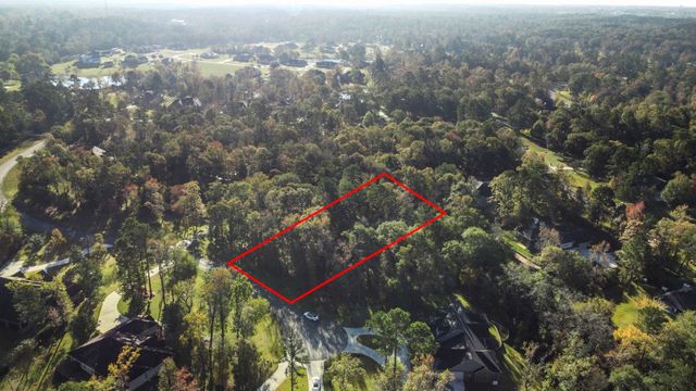 1410 Amber Cove, Willis, TX 77378