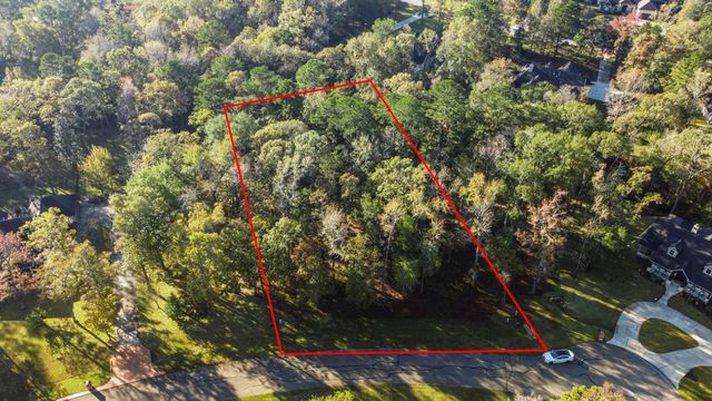 1410 Amber Cove, Willis, TX 77378