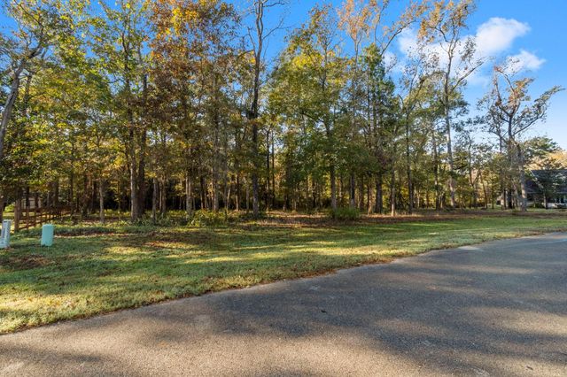 1410 Amber Cove, Willis, TX 77378