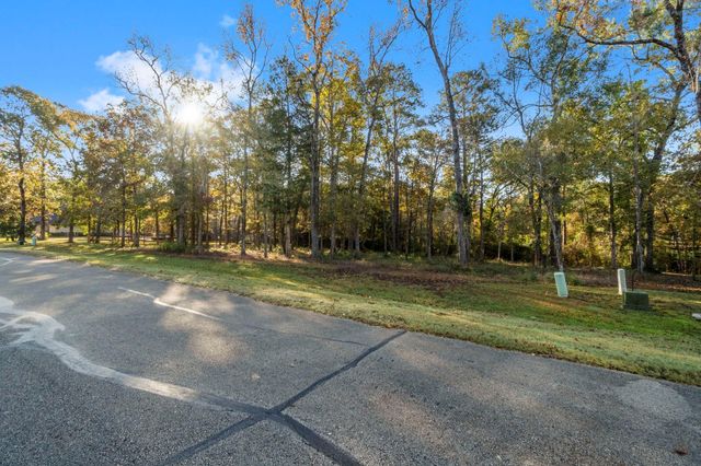 1410 Amber Cove, Willis, TX 77378