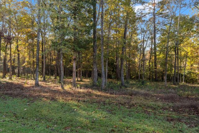 1410 Amber Cove, Willis, TX 77378