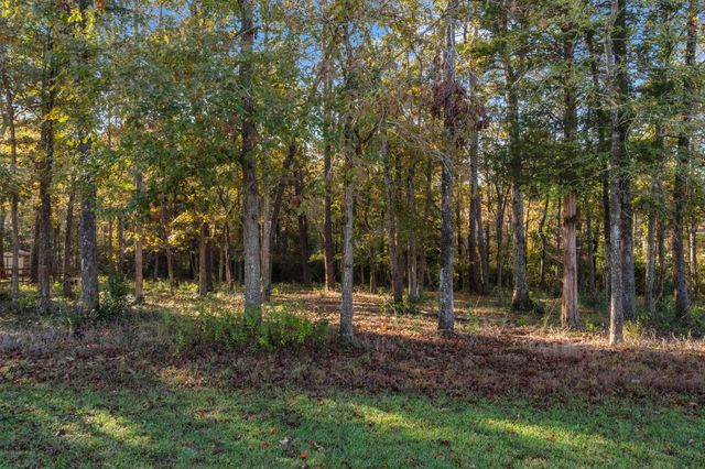 1410 Amber Cove, Willis, TX 77378