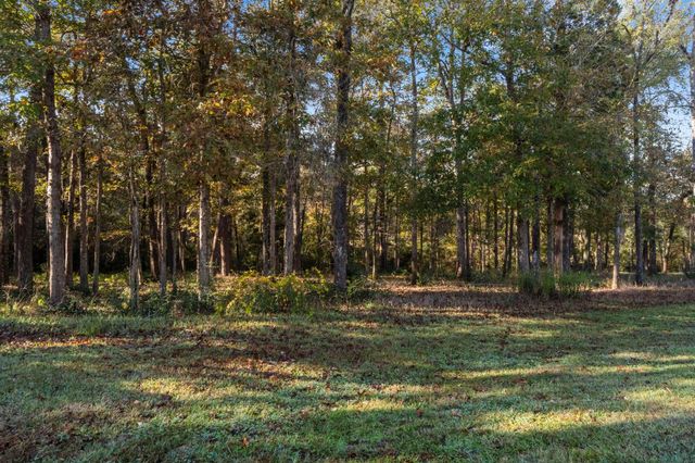 1410 Amber Cove, Willis, TX 77378