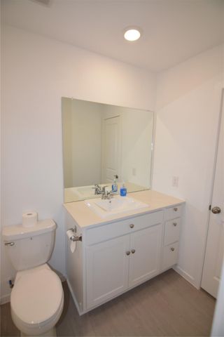 26926 Dalmatian Bellflower Drive, Katy, TX 77493