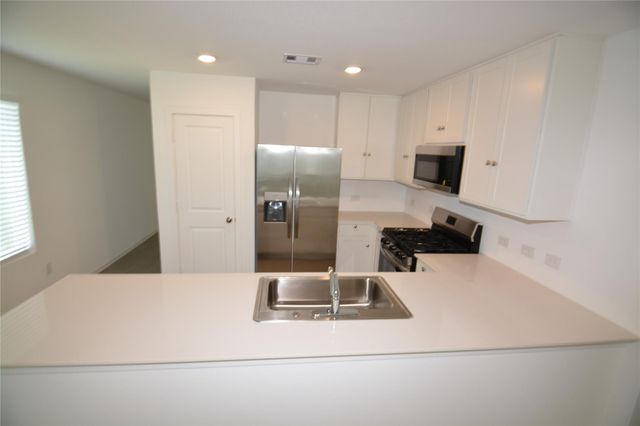 26926 Dalmatian Bellflower Drive, Katy, TX 77493