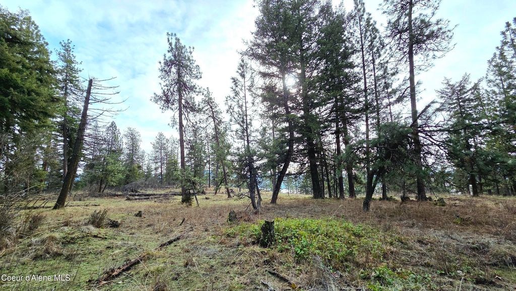 4234 E Potlatch Hill RD, Coeur d'Alene, ID 83814 photo 38