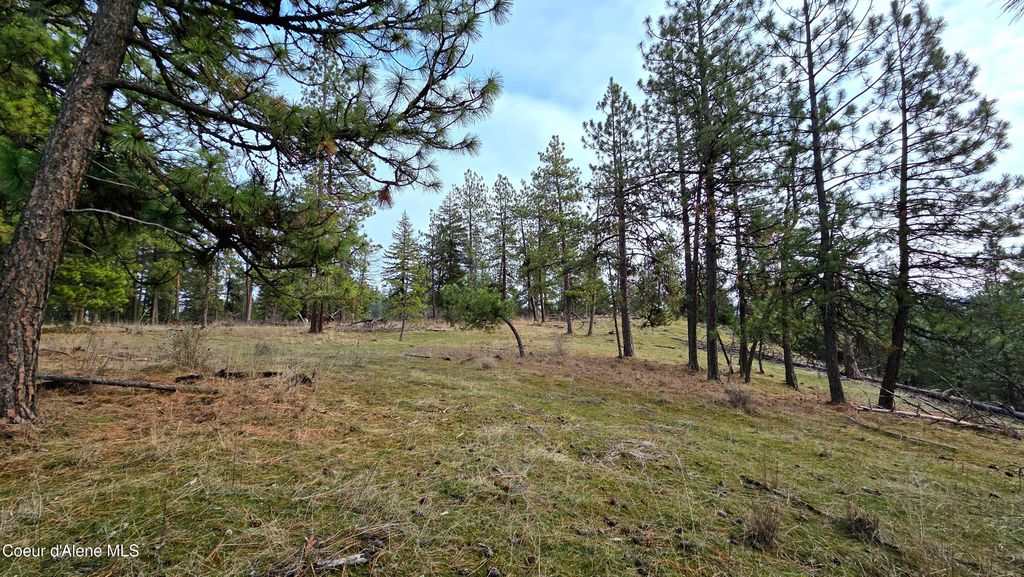 4234 E Potlatch Hill RD, Coeur d'Alene, ID 83814 photo 39