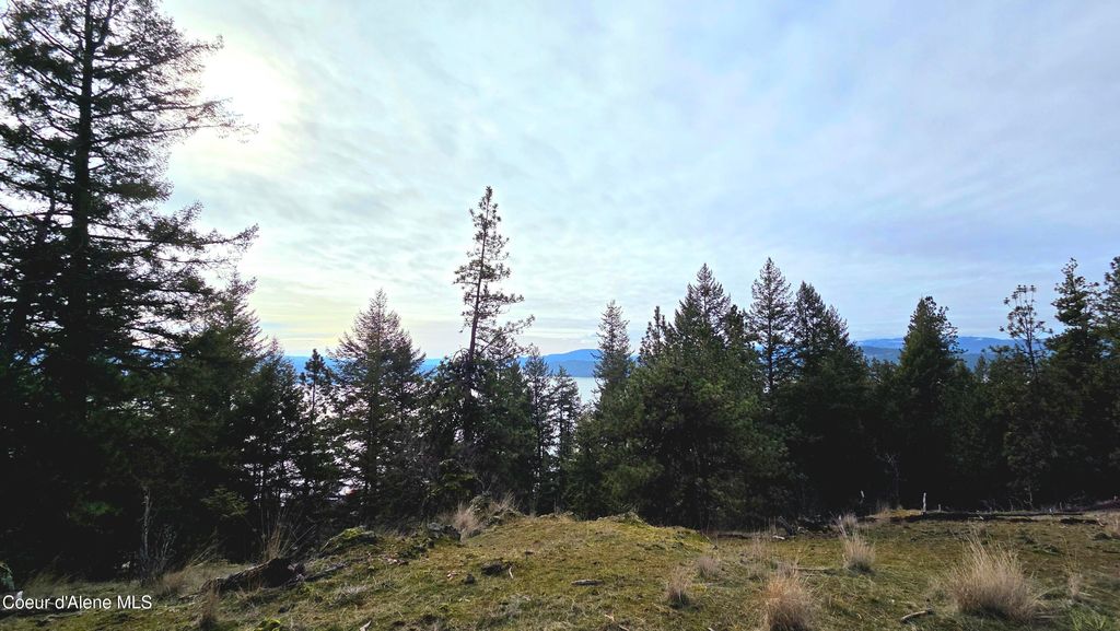 4234 E Potlatch Hill RD, Coeur d'Alene, ID 83814 photo 40