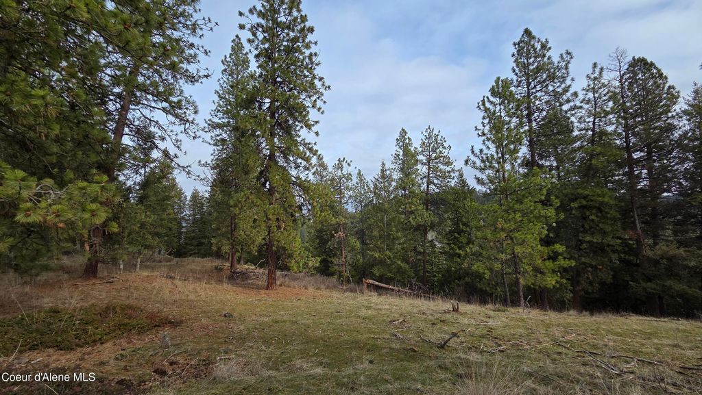 4234 E Potlatch Hill RD, Coeur d'Alene, ID 83814 photo 41