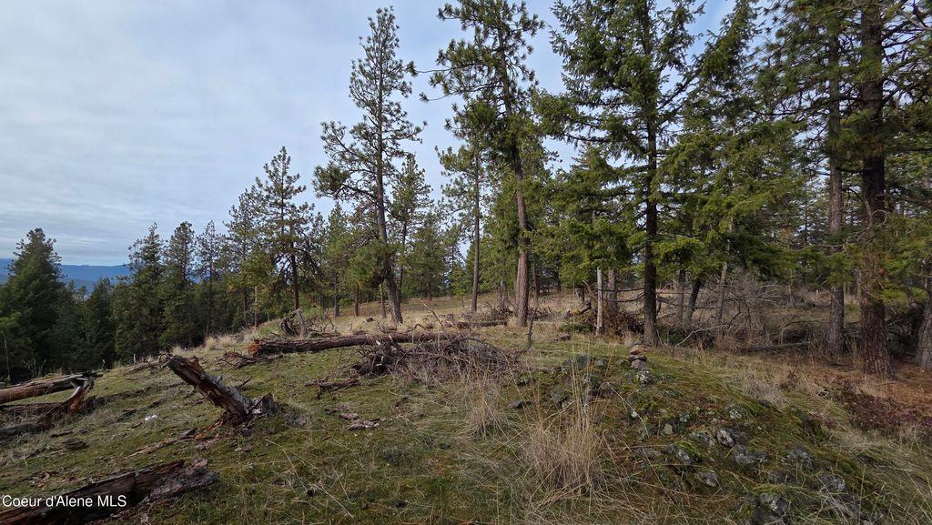 4234 E Potlatch Hill RD, Coeur d'Alene, ID 83814 photo 42