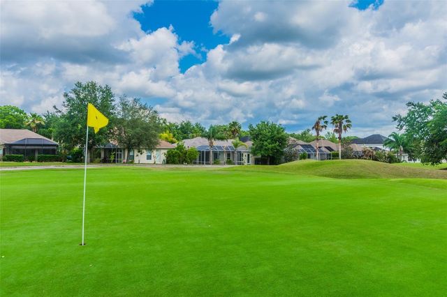 3216 SAGO POINT COURT, Land O Lakes, FL 34639