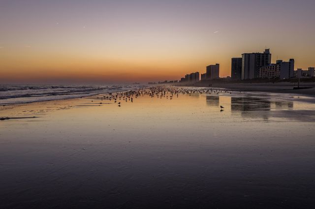 215 3rd Ave. N Unit 353, North Myrtle Beach, SC 29582